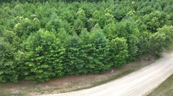 L16 Sandy Pines Court, Redgranite, WI 54970 - #2