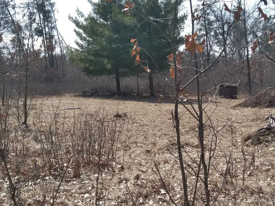 267 Evening Star & 1490 Rapids Trail, Nekoosa, WI 54457 - #3