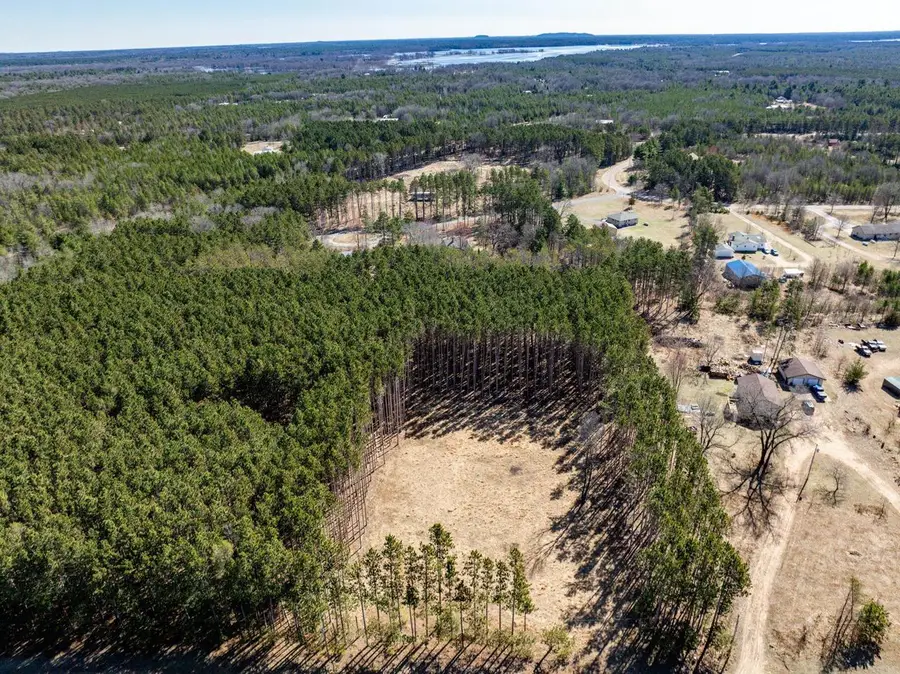 N9990 Pine Cone Court, Necedah, WI 54646 - #3