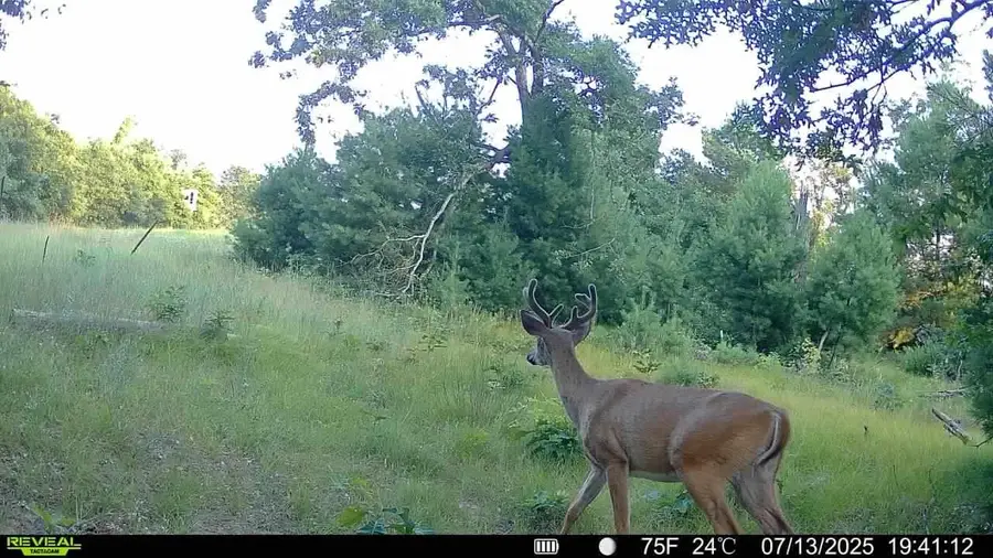 28.07Acres Driftwood Avenue, Lincoln, WI 54666 - #2