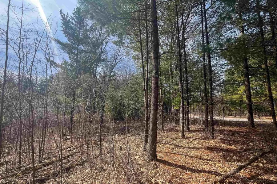 Lot 1 CSM 2651 Eagle Avenue, Westfield, WI 53964 - #2