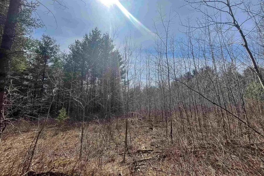 Lot 1 CSM 2651 Eagle Avenue, Westfield, WI 53964 - #3