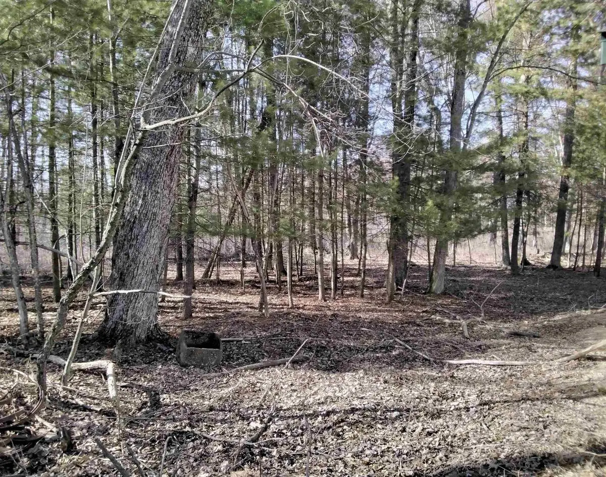 W1080 Dover Road, Neshkoro, WI 54960 - #1