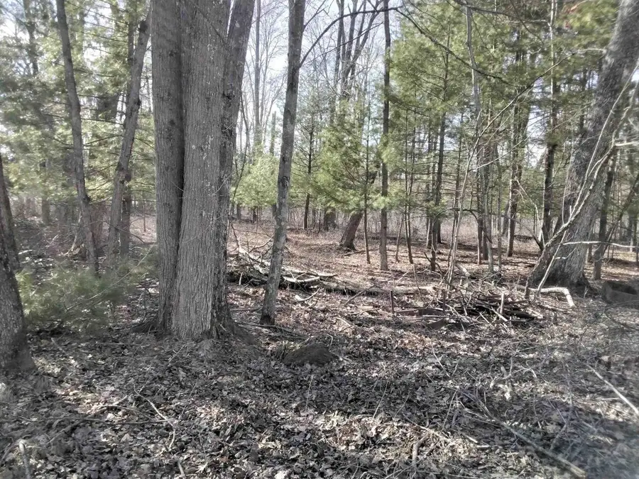 W1080 Dover Road, Neshkoro, WI 54960 - #2