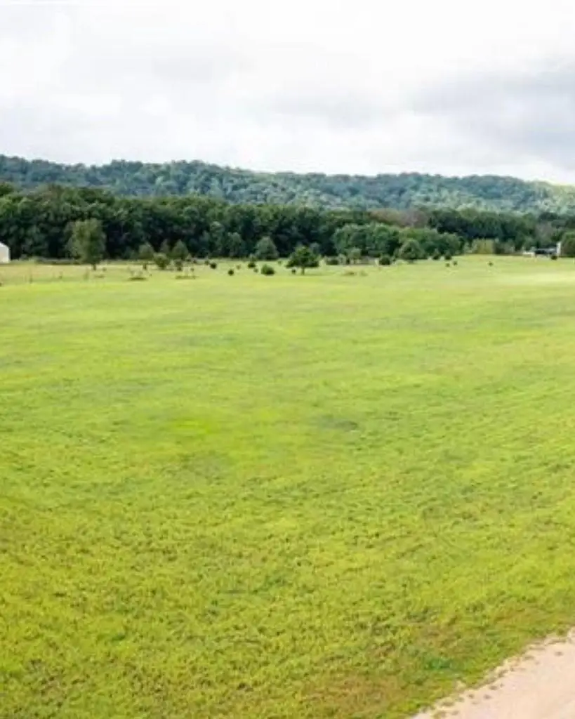 8.46 Acres Coon Rock Road, Arena, WI 53503 - #2