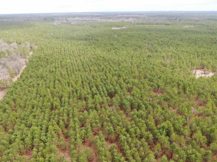 80AC 16the Avenue, Arkdale, WI 54613 - #3