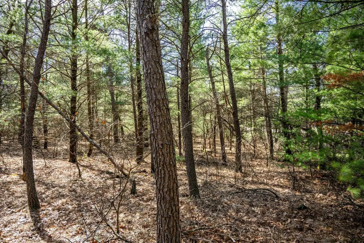 Lot 2 19th Avenue, Necedah, WI 54646 - #1