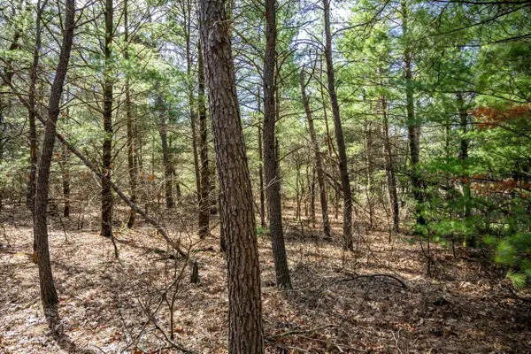 Lot 2 19th Avenue, Necedah, WI 54646
