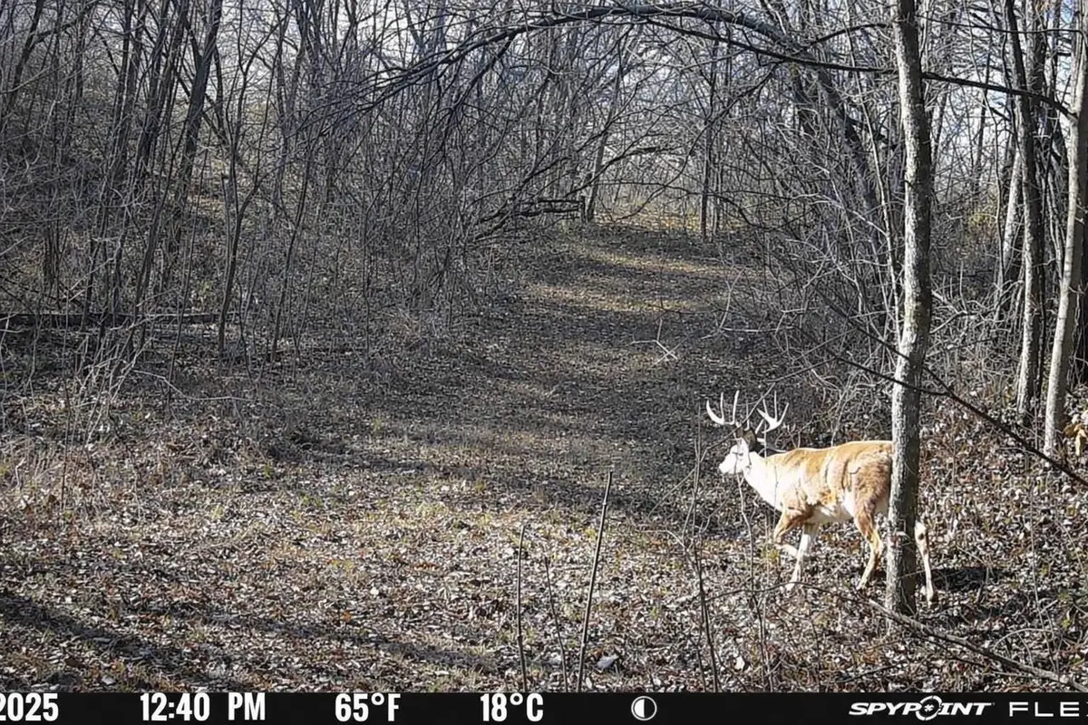 59 +/- Ac State Hwy 80, Richland Center, WI 53581 - #1