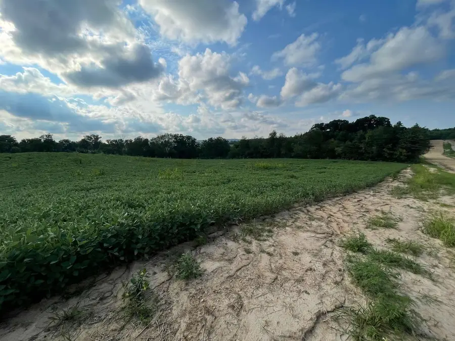 Lot 2 Sunset Trace, Tomah, WI 54660 - #2