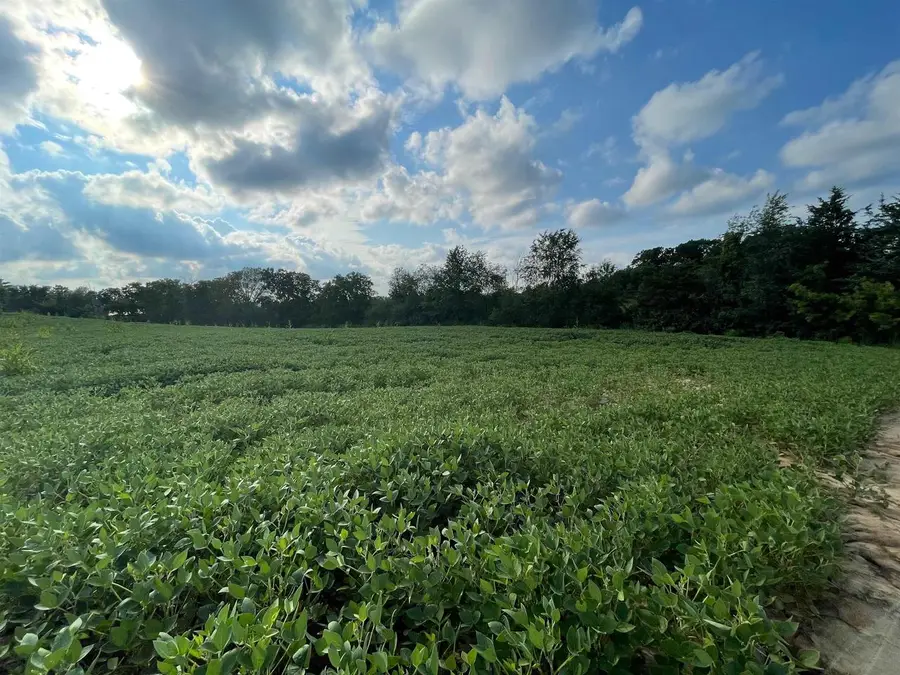 Lot 2 Sunset Trace, Tomah, WI 54660 - #3