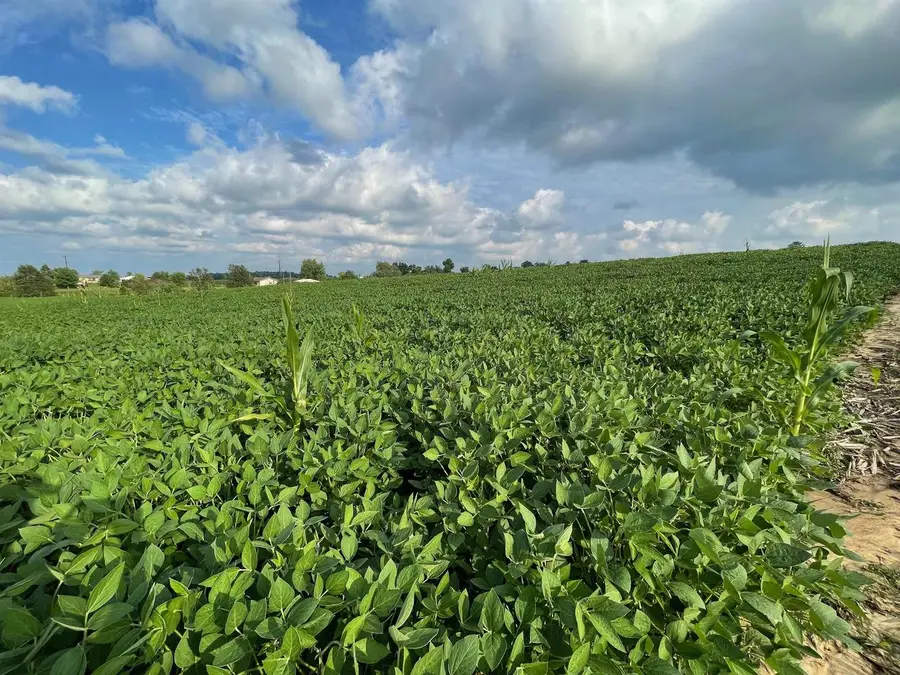 Lot 8 Sunset Trace, Tomah, WI 54660 - #2