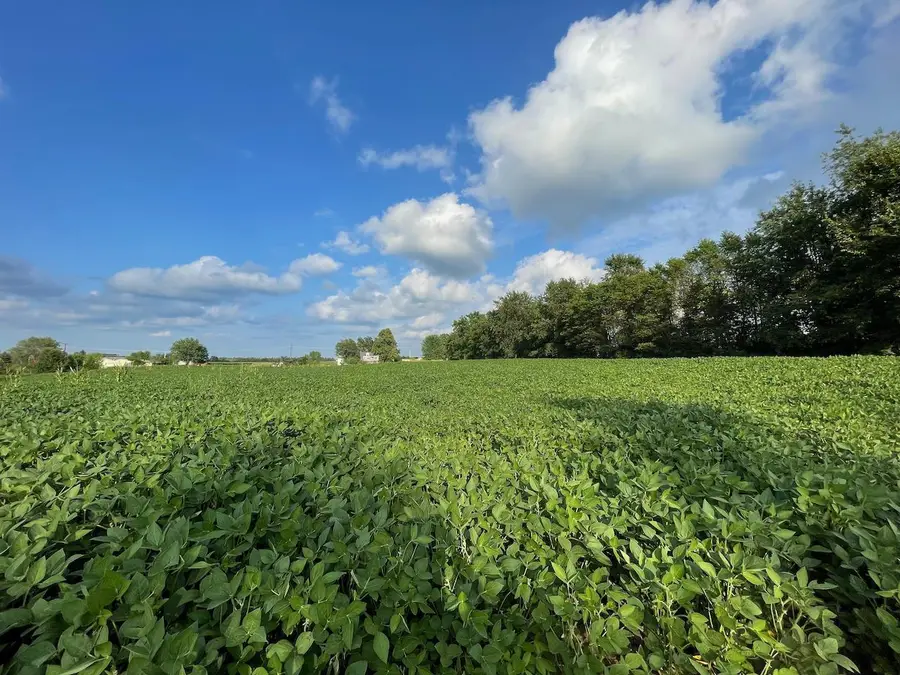 Lot 9 Sunset Trace, Tomah, WI 54660 - #3