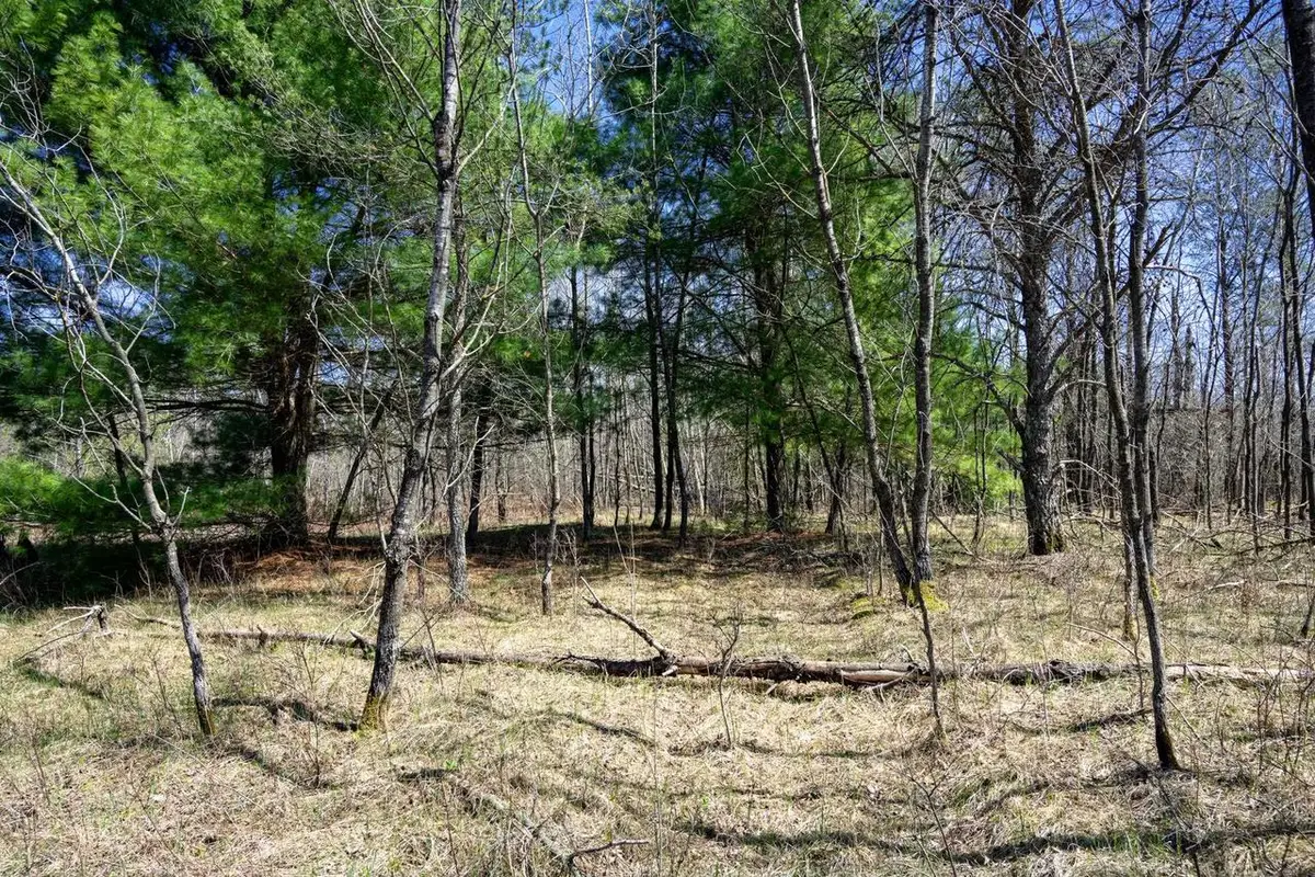 13.34 Ac 22nd Street, Necedah, WI 54646 - #1