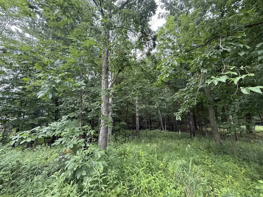 L52 Draper, Baraboo, WI 53913 - #3