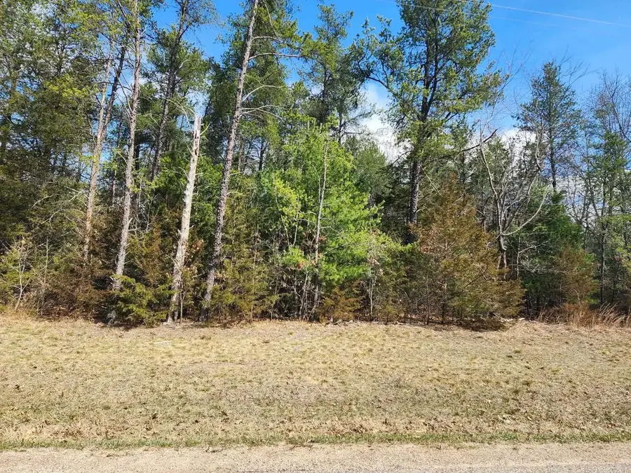 Dover Drive, Friendship, WI 53934 - #3