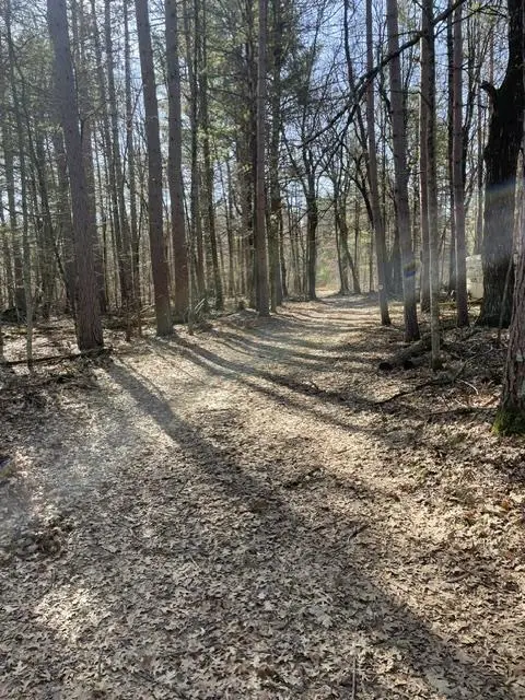 0 Forest Road 1637 Road, Oconto, WI 54161