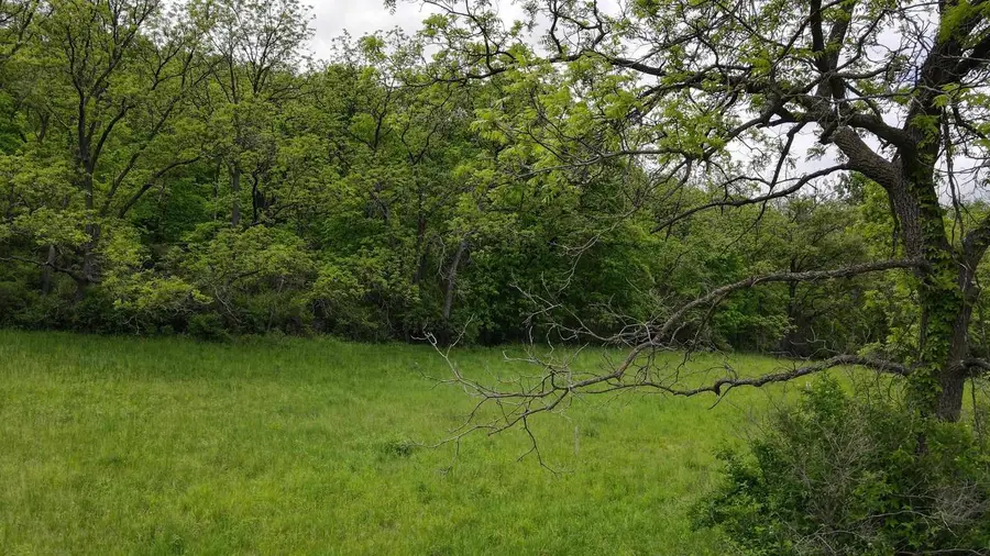 3.53 County Road F, Blue Mounds, WI 53517 - #2