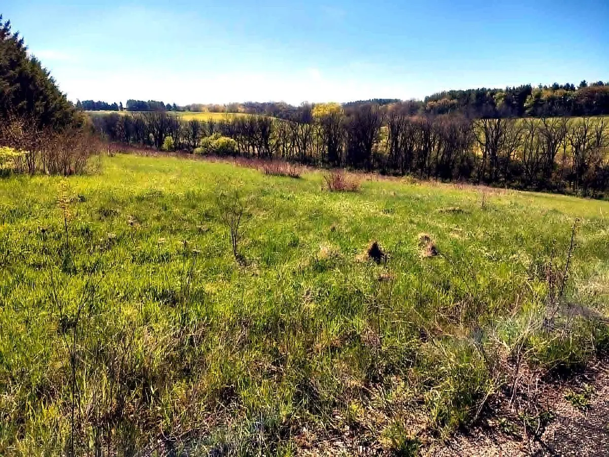 Lot  13 Holly Lane, Belleville, WI 53508 - #1