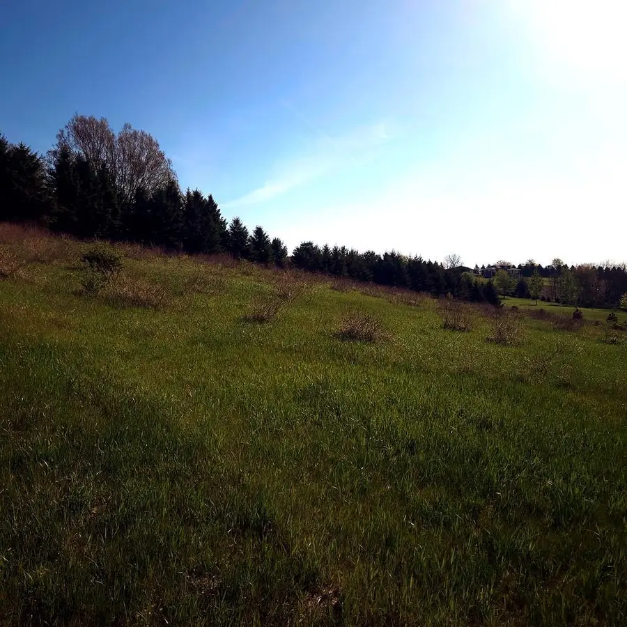 Lot  13 Holly Lane, Belleville, WI 53508 - #2