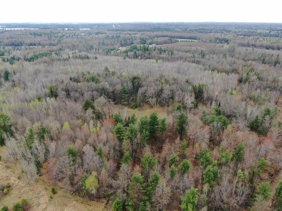 40 AC Oakwood Dr Acres, Mosinee, WI 54455 - #1