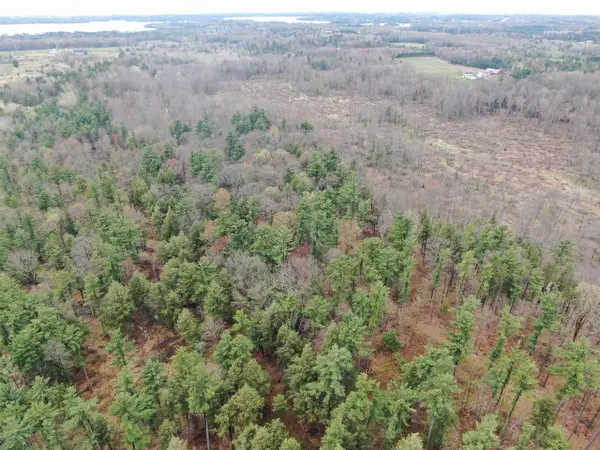 80 AC Oakwood Dr Acres, Mosinee, WI 54455