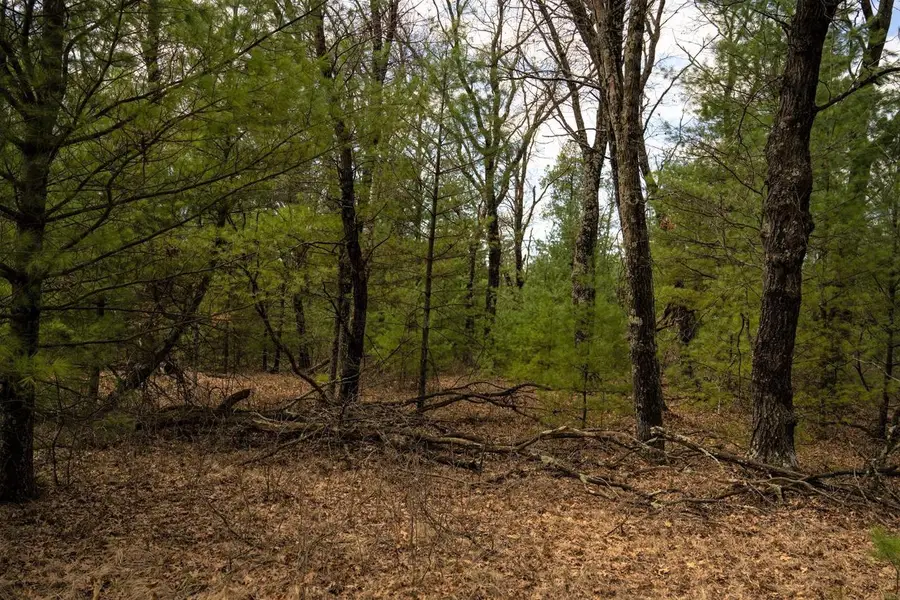 Lot 188 18th Lane, Friendship, WI 53934 - #2