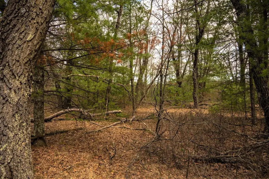 Lot 188 18th Lane, Friendship, WI 53934 - #3