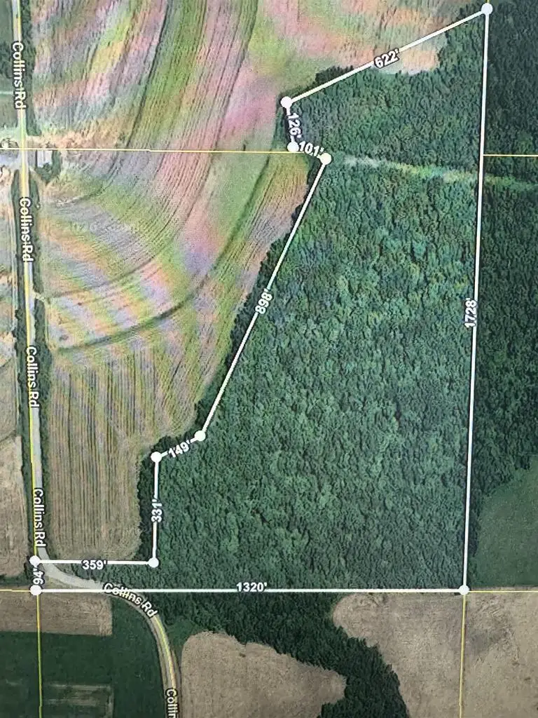 27.64 Acres, Collins Road, Mount Hope, WI 53816 - #1