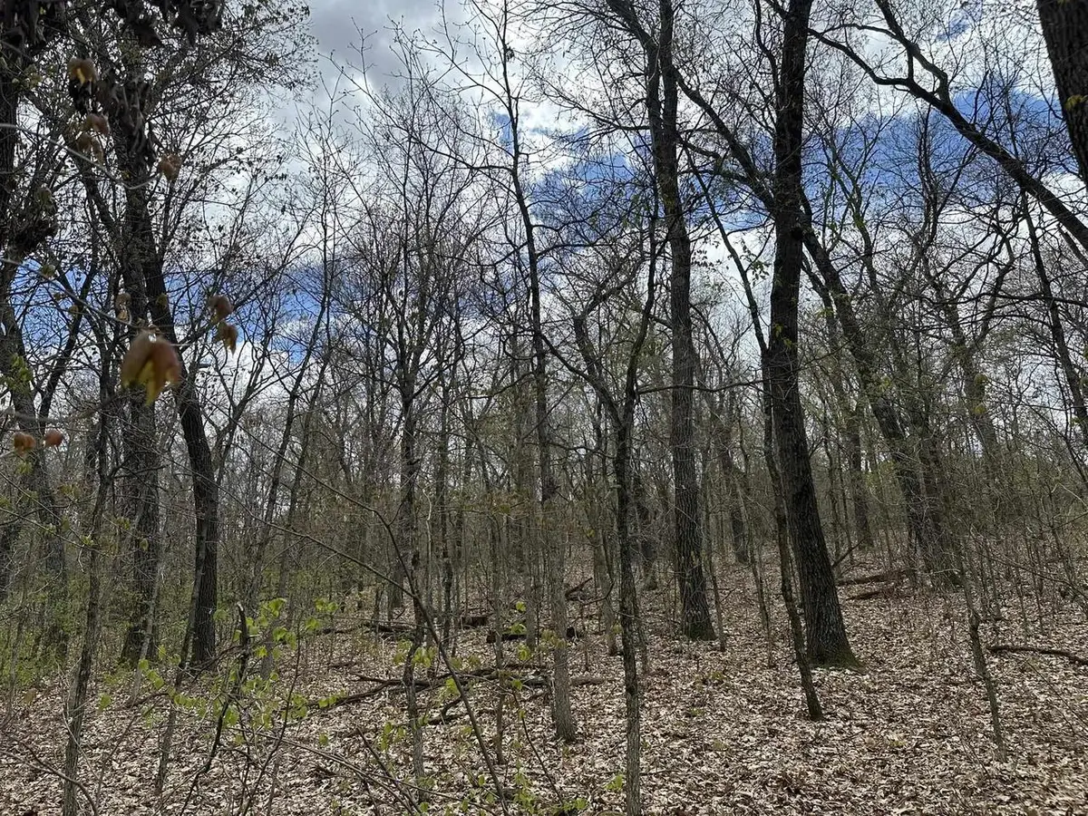 8.81 ac Raedel Lane, Wisconsin Dells, WI 53965 - #1