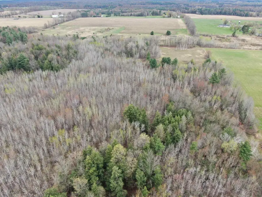 120 AC Oakwood Dr Acres, Mosinee, WI 54455 - #3