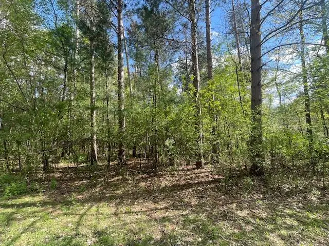 Lots 4 & 5 Czech Lane, Friendship, WI 53934 - #1
