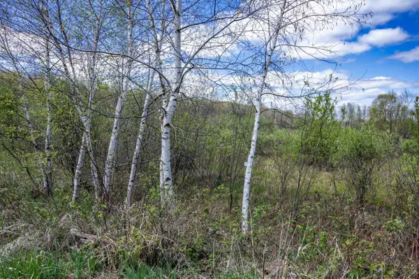 70 acres 22nd Street, Necedah, WI 54646