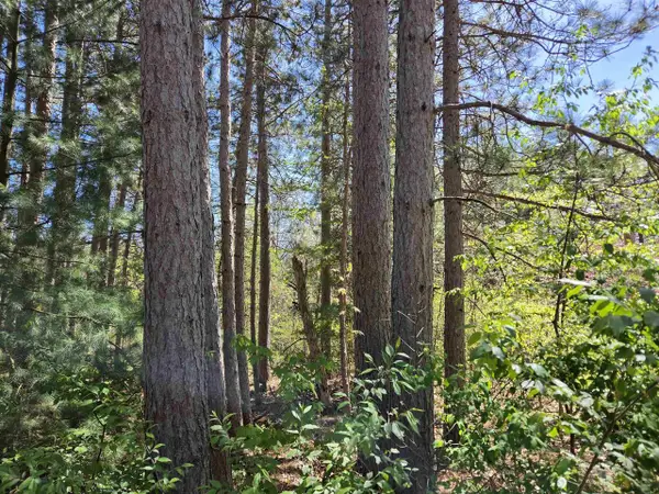 Lot 204 Raven Drive, New Lisbon, WI 53950