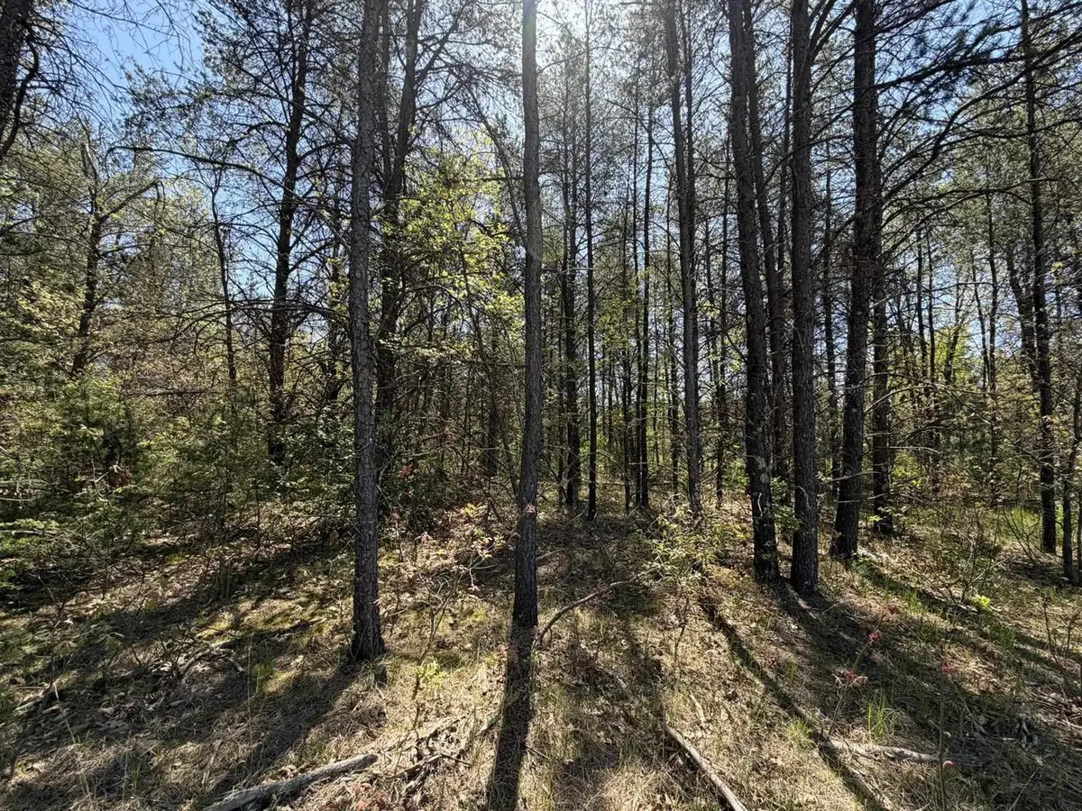 1.52 Acres Queens Way, Necedah, WI 54646 - #1