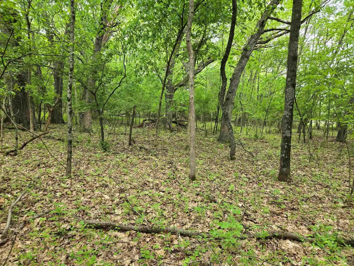 Lot Oxbow Trail, Princeton, WI 54968 - #1
