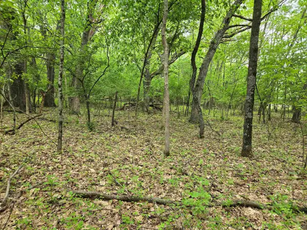 Lot Oxbow Trail, Princeton, WI 54968