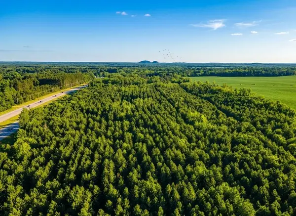 Lot 4 11th Drive, Friendship, WI 53934