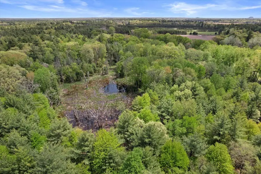 Lot 1 Chicago Avenue, Arkdale, WI 54613 - #3