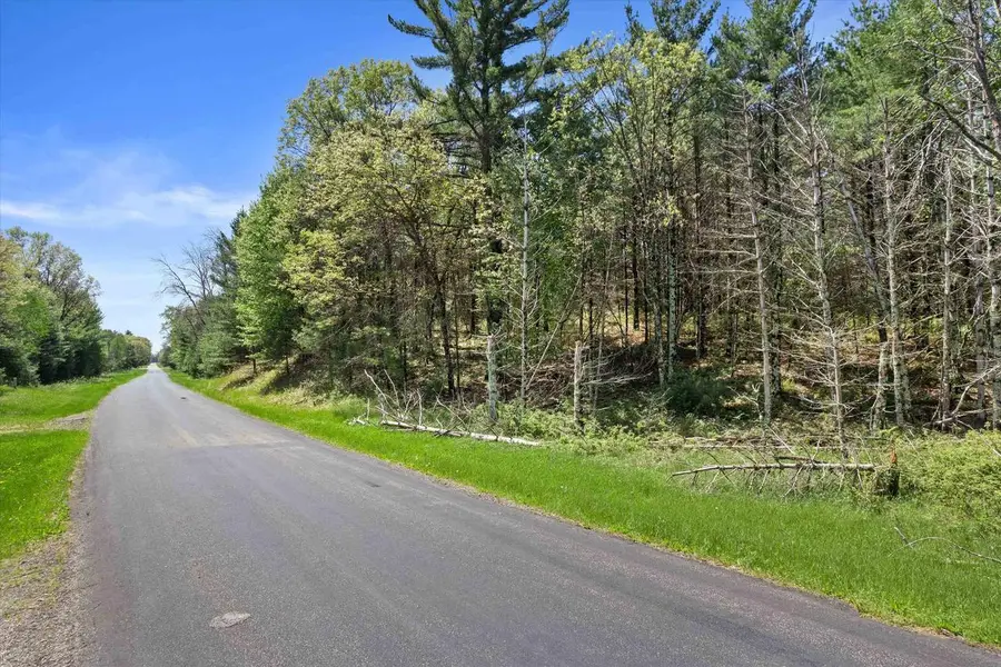 Lot 2 Chicago Avenue, Arkdale, WI 54613 - #3