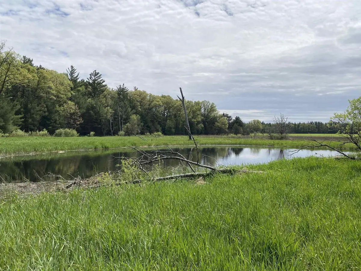W8949 HWY 21 Road, Wautoma, WI 54982 - #1