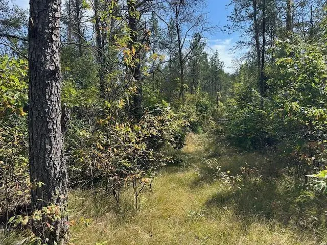 36.34 Ac Retirement Lane, Necedah, WI 54646 - #1