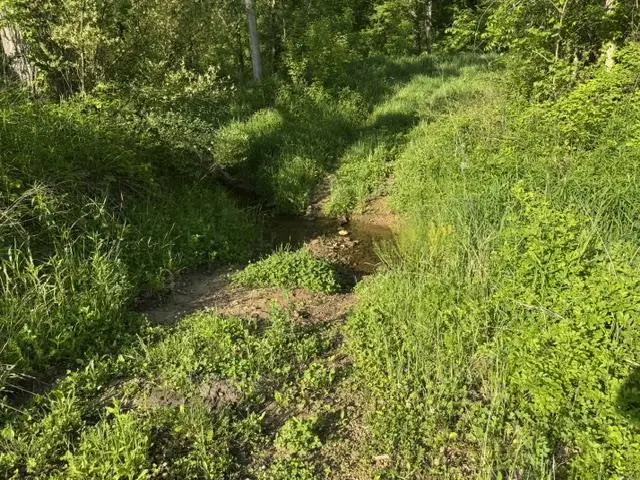 000 Byrd's Creek Road, Blue River, WI 53518 - #2