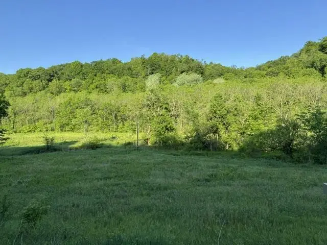000 Byrd's Creek Road, Blue River, WI 53518 - #3