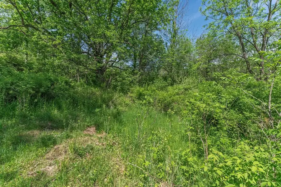 Dog Hollow Road, Cazenovia, WI 53924 - #3