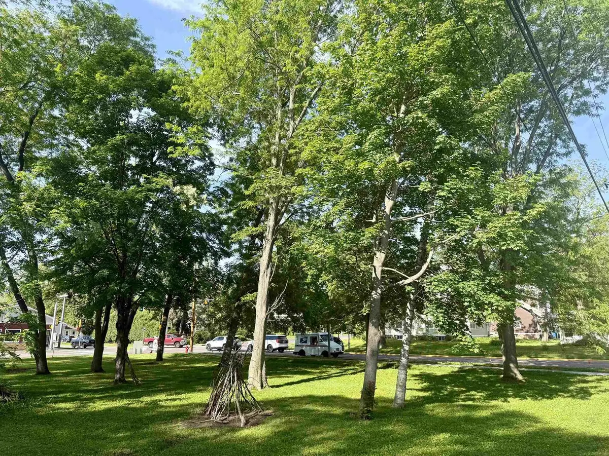 Lot 1 and 2 8th St, Baraboo, WI 53913 - #1