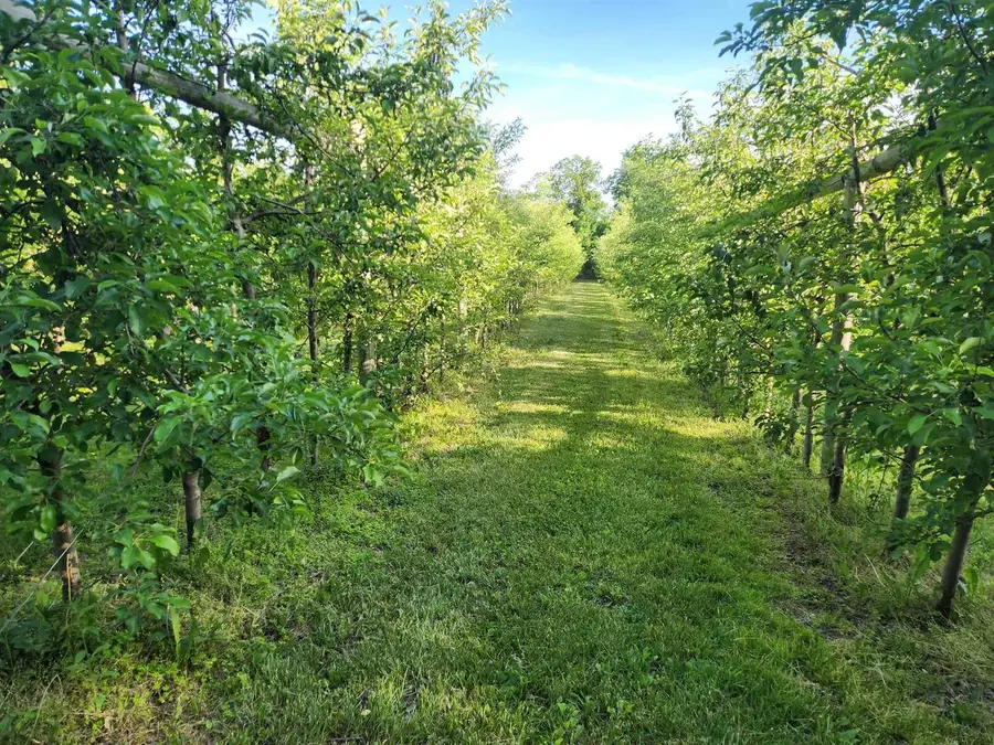 16318 E County Road V Road, Hillsboro, WI 54634 - #3