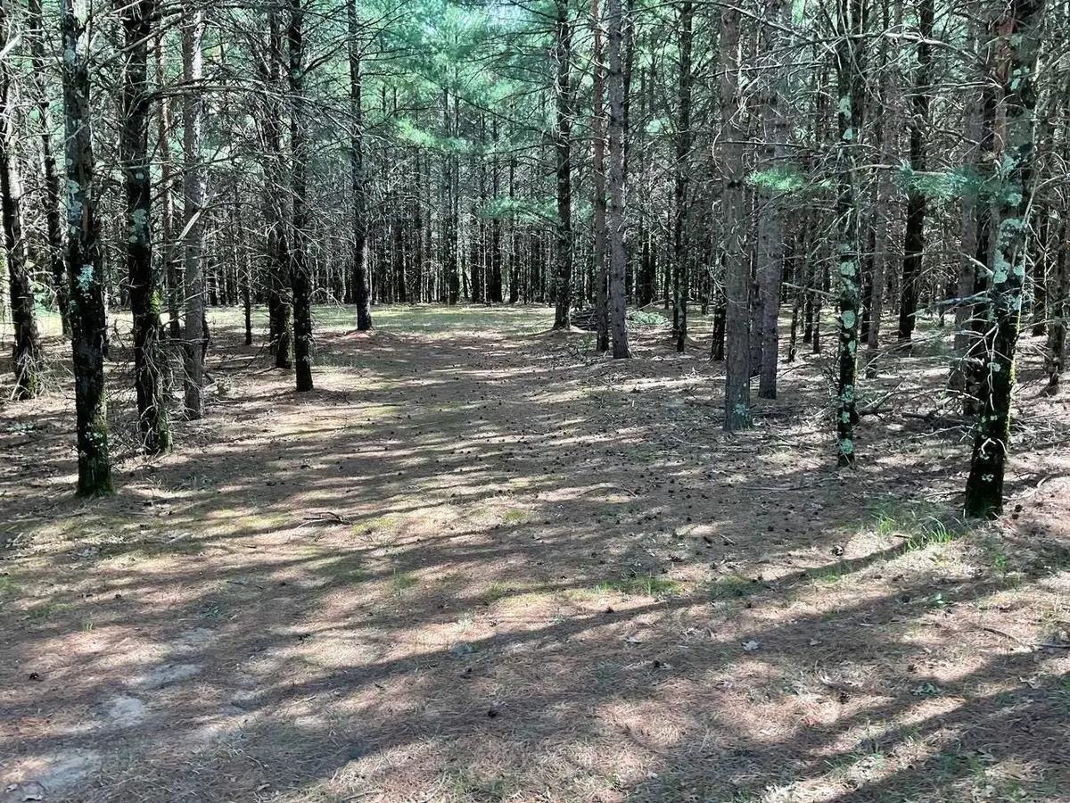 5.7 Acres Browndeer Avenue, Friendship, WI 53934 - #1
