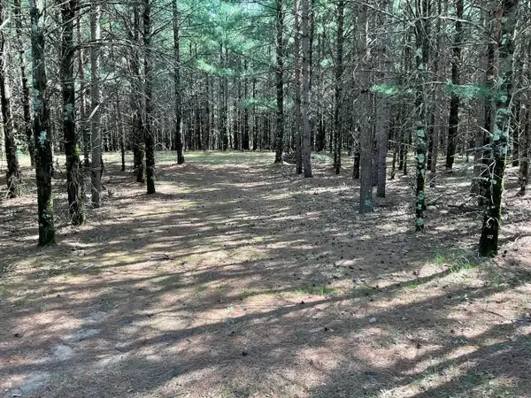 5.7 Acres Browndeer Avenue, Friendship, WI 53934