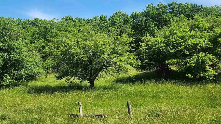 0000 Shortcut Road, Seneca, WI 54654 - #3